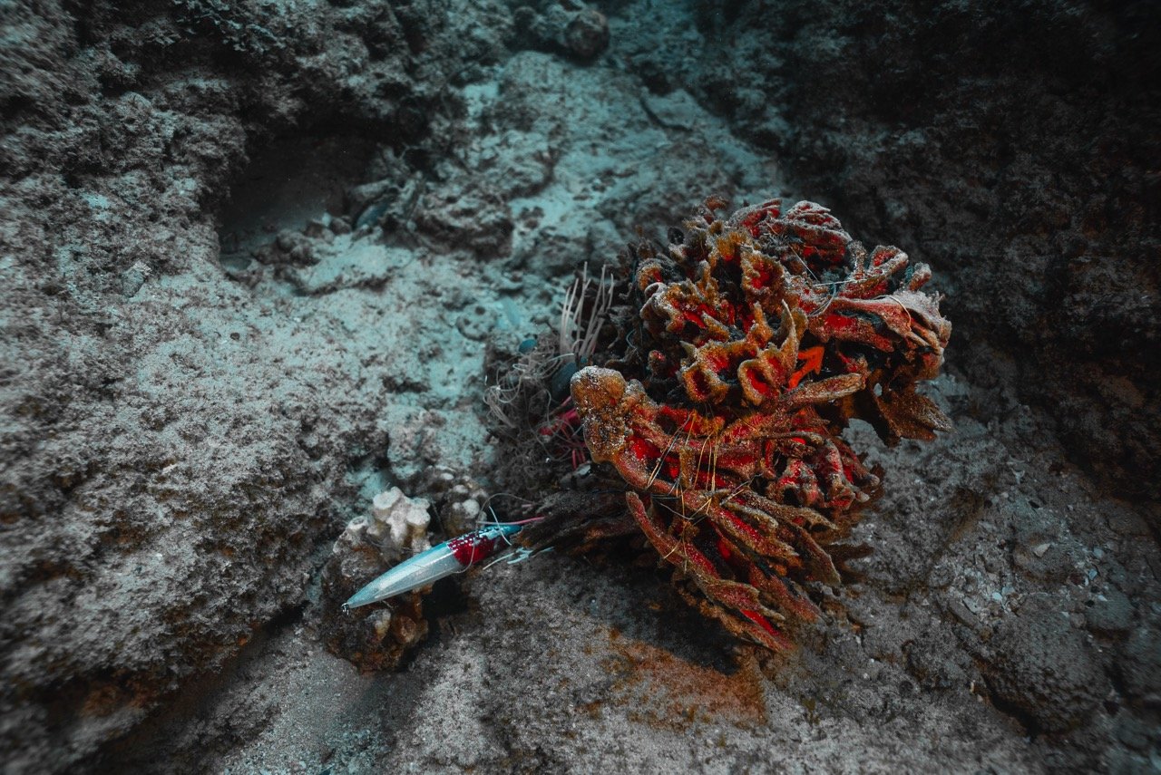 CleamUp3-11-042 Large