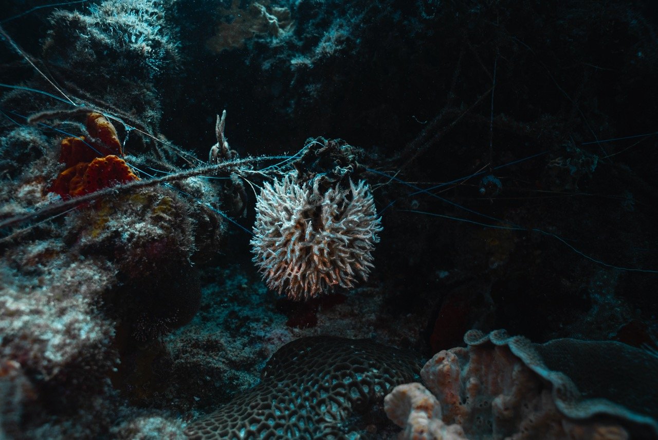 CleamUp3-11-061 Large