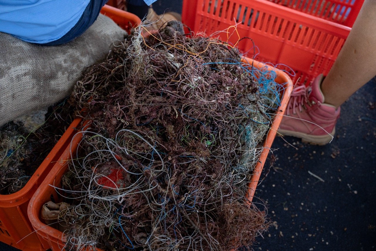 CleamUp3-11-082 Large