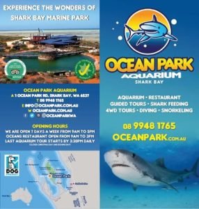 Ocean Park Leaflet